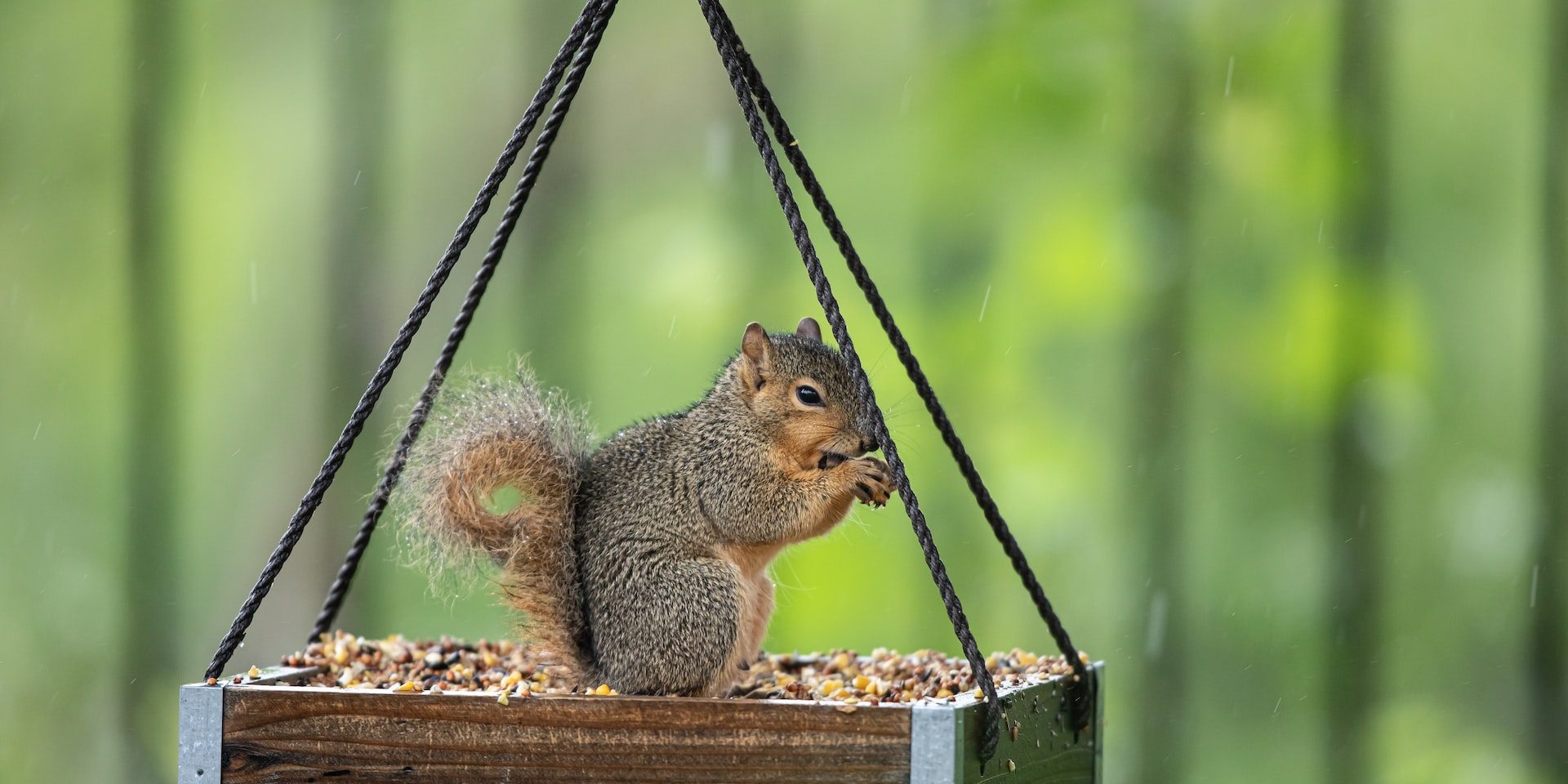 Tuin diervriendelijk