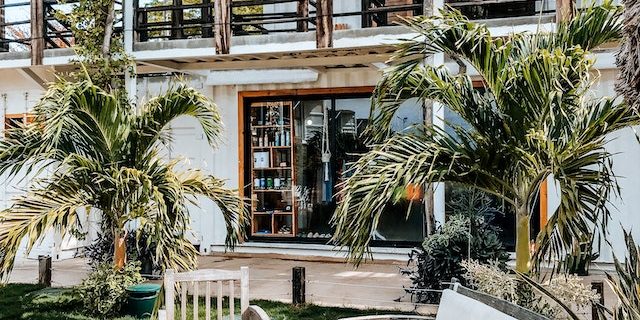 pexels-nudos-adicora-10877597 ibiza tuin planten