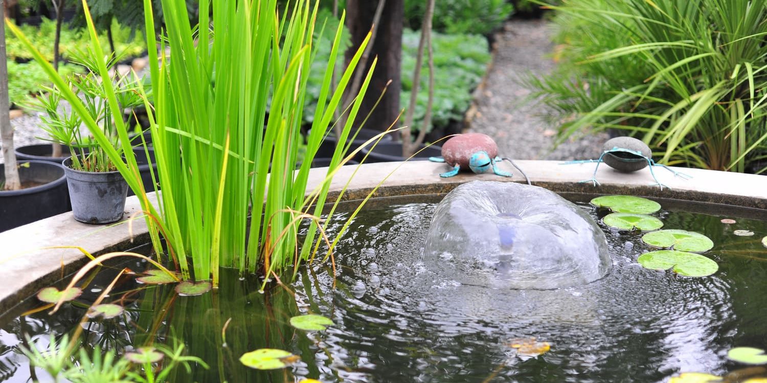 vijver vijver ideeën kleine tuin