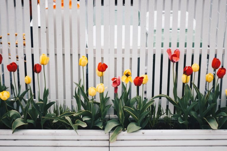 5 voordelen van een composiet schutting ten opzichte van hout