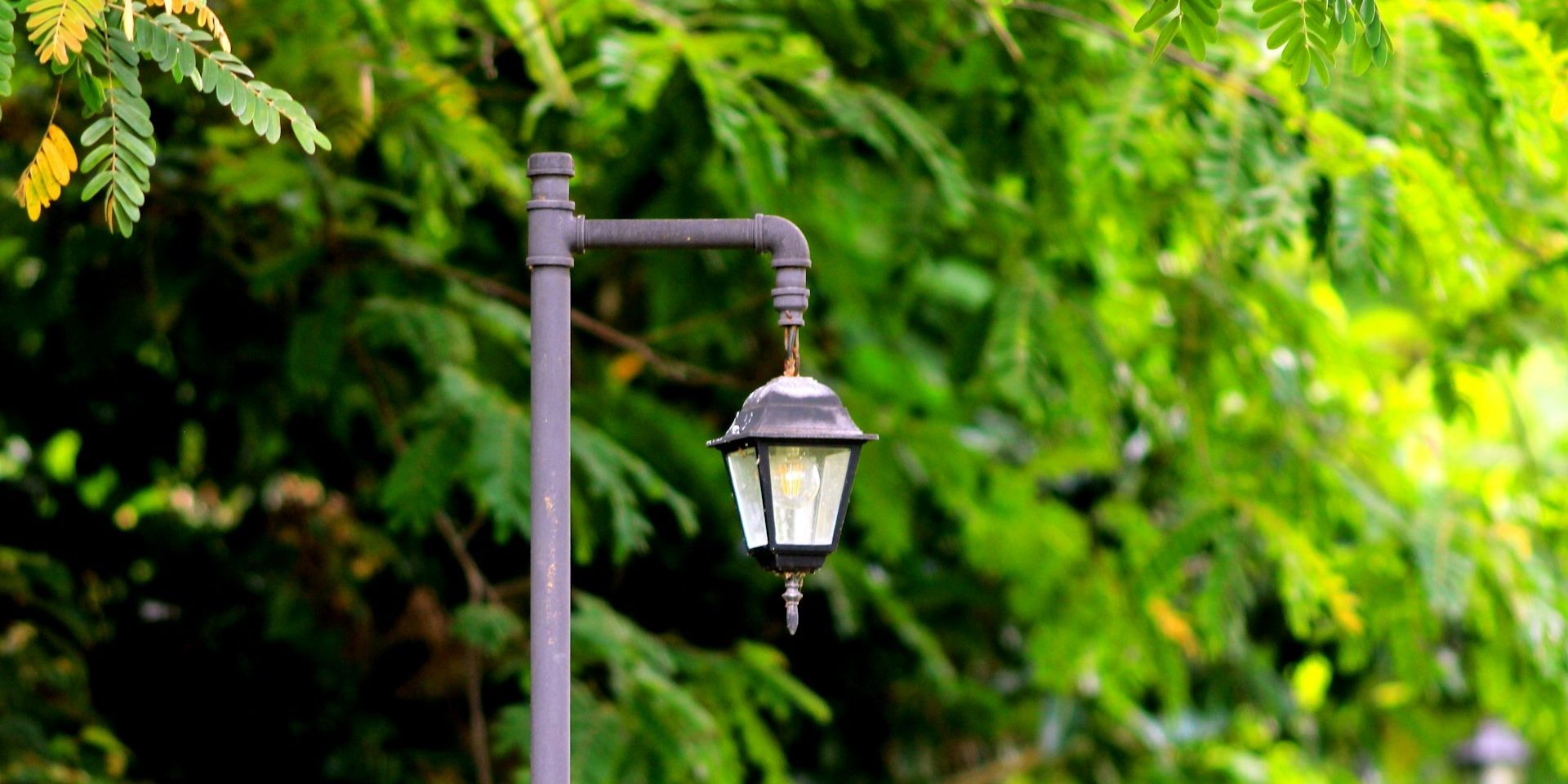 Zwarte buitenlamp met verweerd armatuur in een groene tuin, symbool voor het belang van buitenlampen onderhouden.
