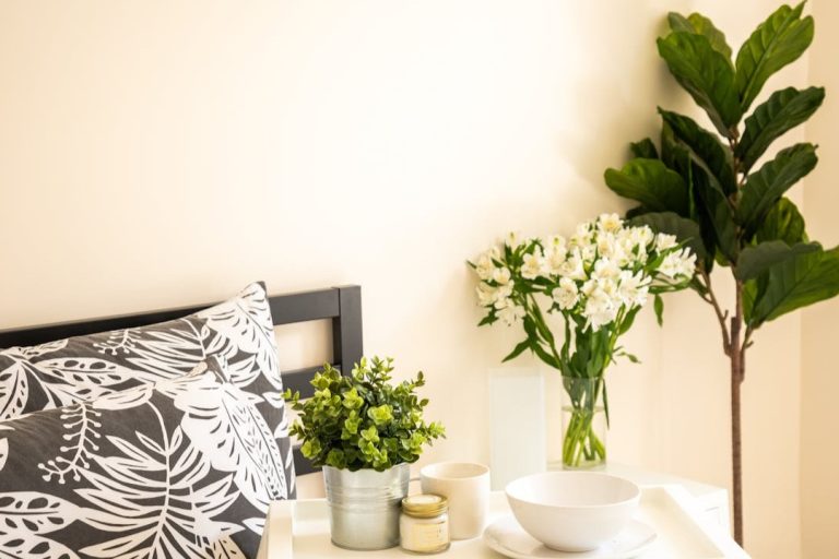 Grote kamerplanten ficus lyrata