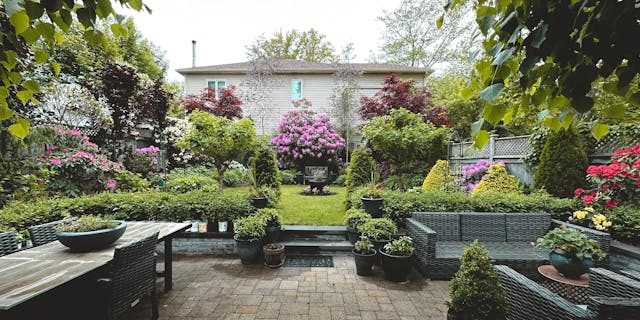 Achtertuin Leuke achtertuin